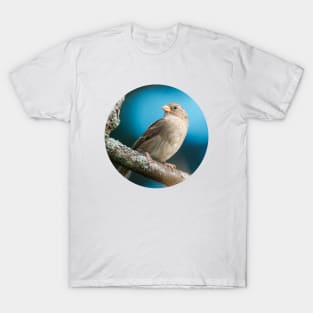 Springtime Sparrow Photograph T-Shirt